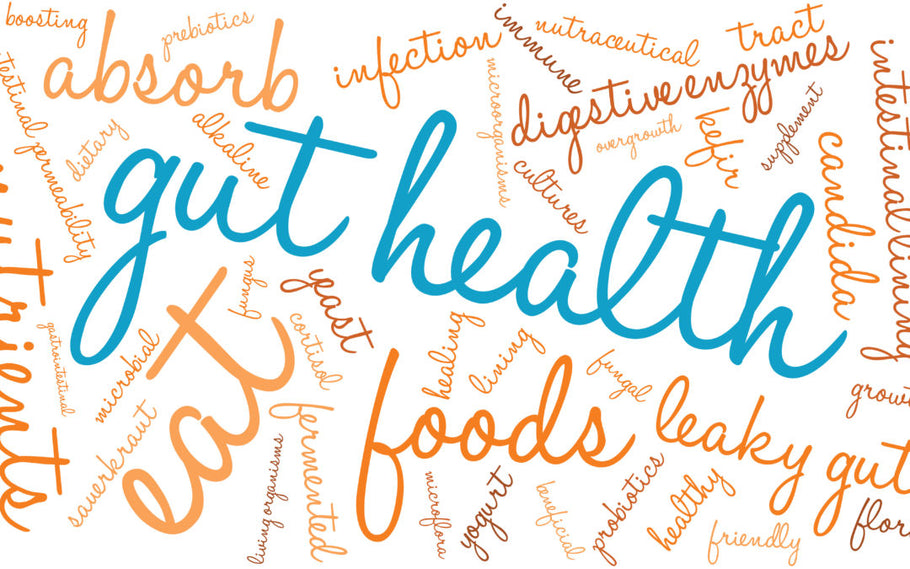 8 Benefits of Good Gut Health