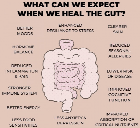How Gut Health Affects Your Entire Body
