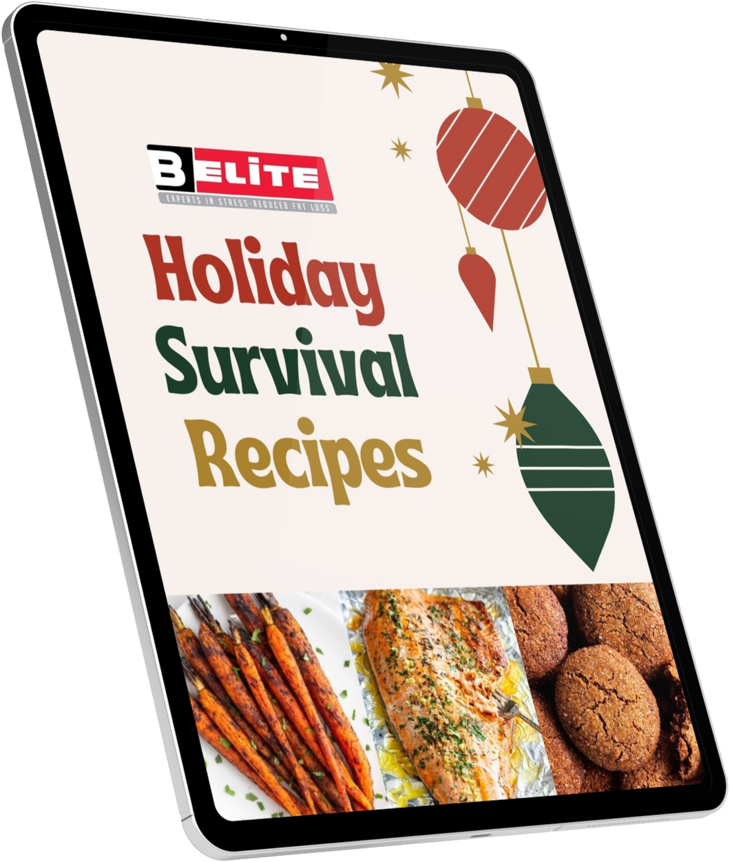 Holiday Survival Recipes