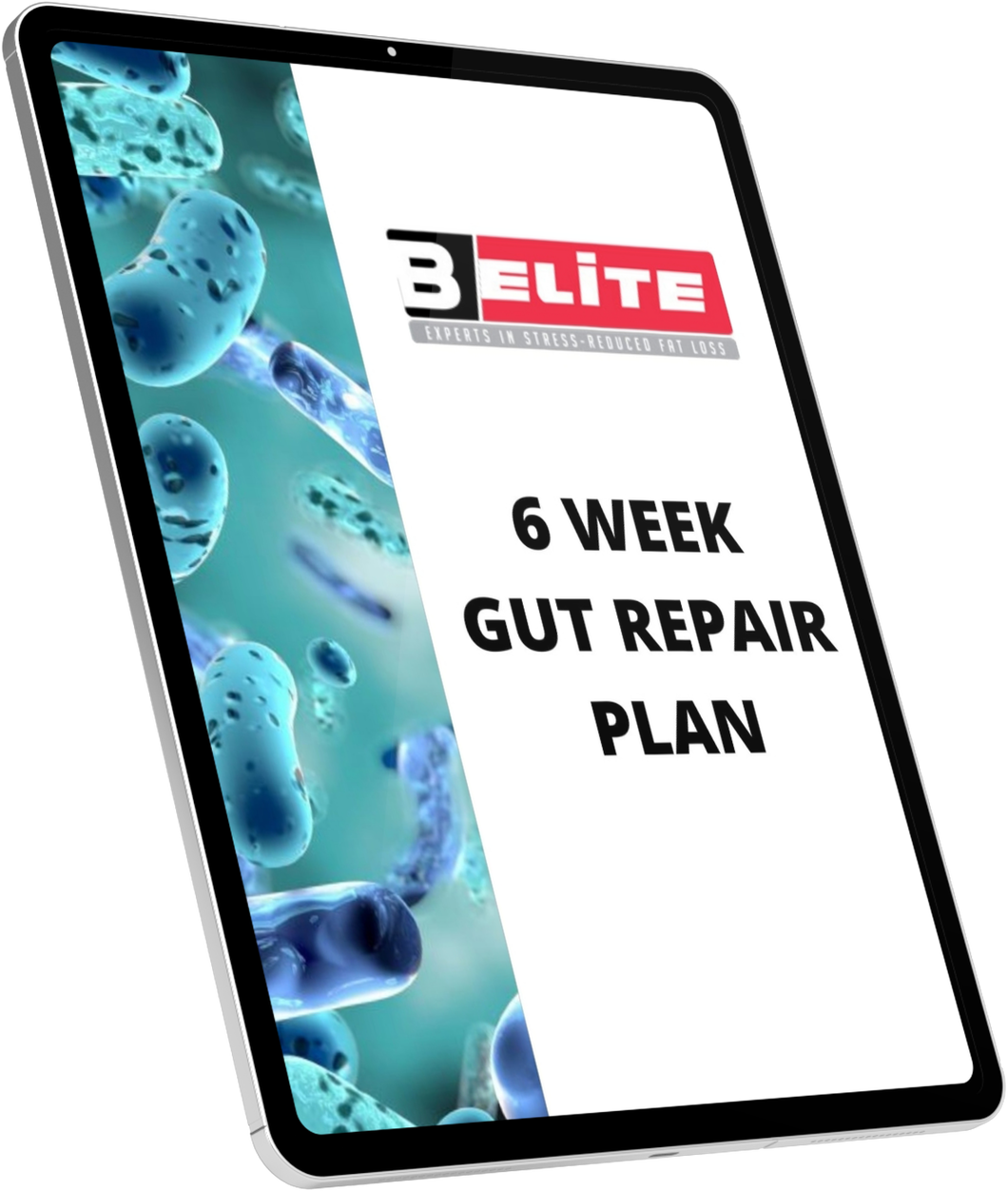 6 Week Gut Repair Plan
