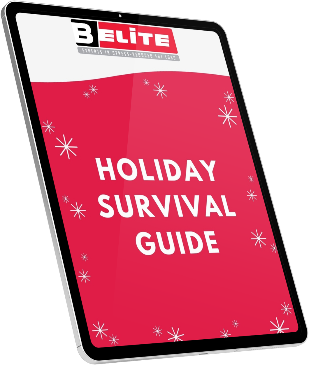 Holiday Survival Guide